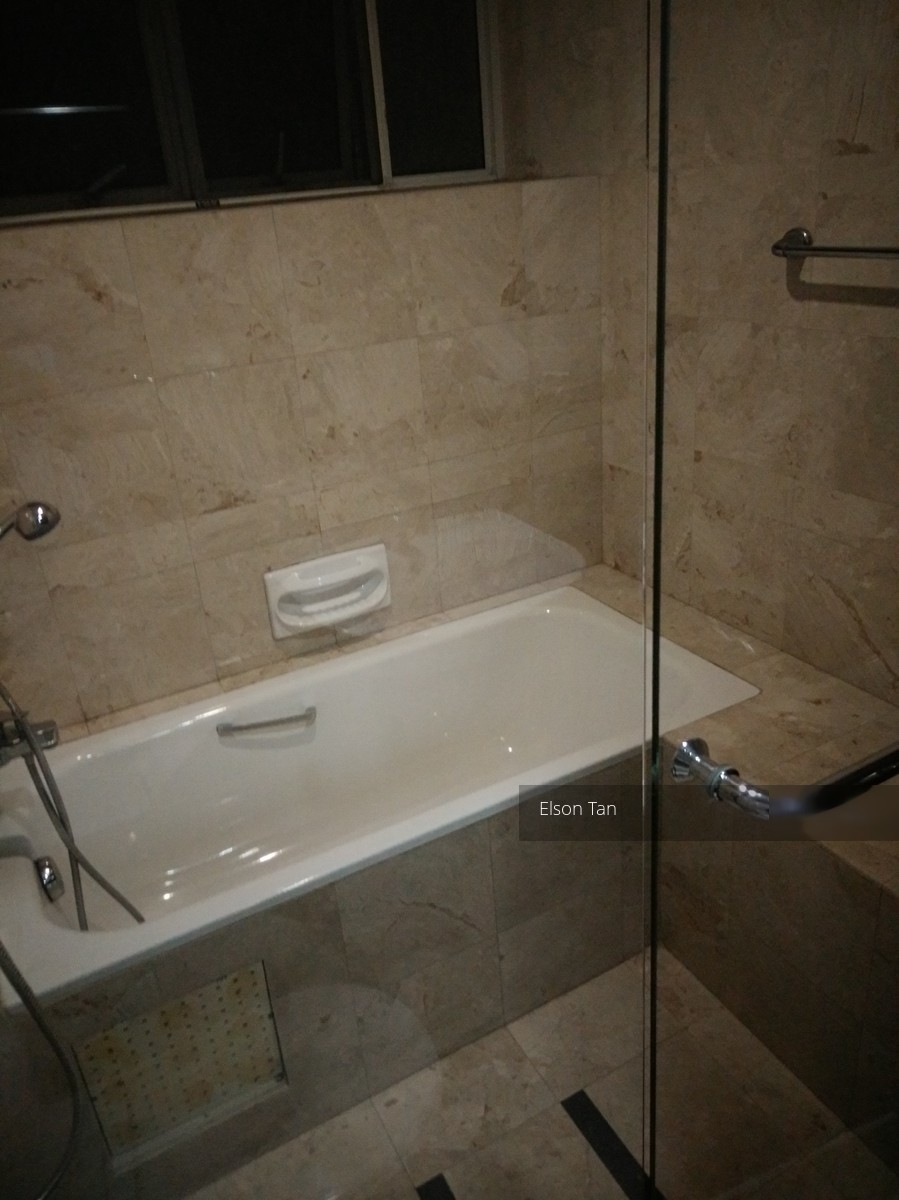 Moonstone Residences (D12), Apartment #168418962